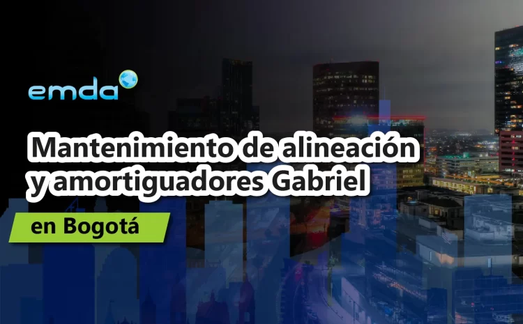  Mantenimiento de alineación y amortiguadores Gabriel en Bogotá